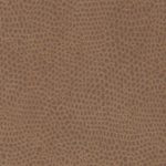 551 - Fanual, Brown